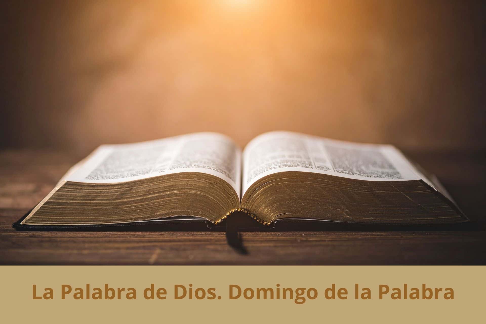 La Palabra de Dios. Domingo de la Palabra